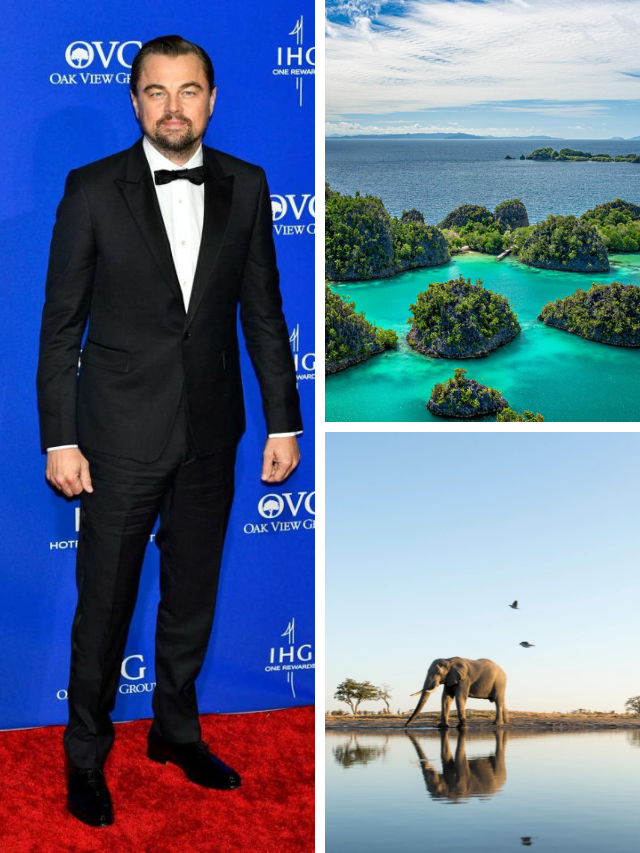 Explore 8 Leonardo DiCaprio’s Must-Visit Destinations for 2024